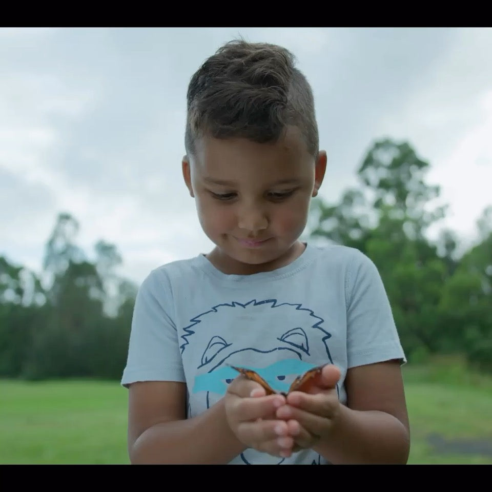Butterfly Chrysalis Kit