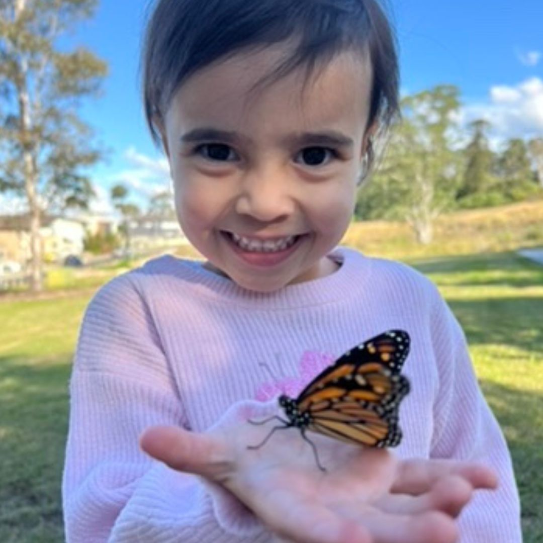 Butterfly Chrysalis Kit
