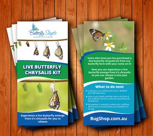 Mother's Day ONLY Gift Certificate Packs