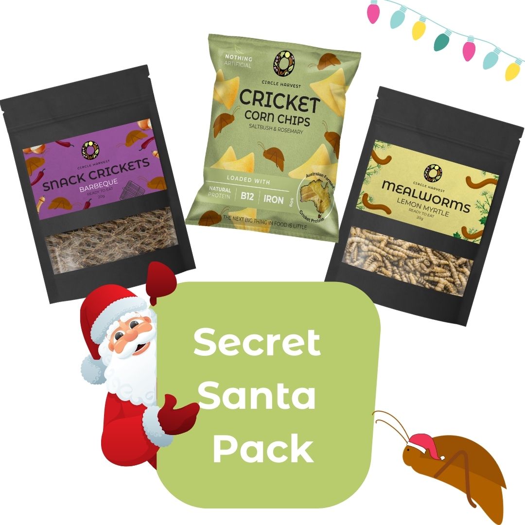 Edible Insect Gift Pack